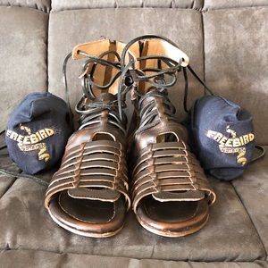 Freebird by Steven Sanibel Gladiator Sandals
